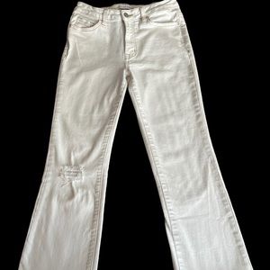 Flying Monkey Crop Flare